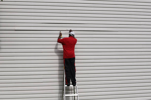 Affordable Siding Repair and Maintenance Services in Toledo, OR